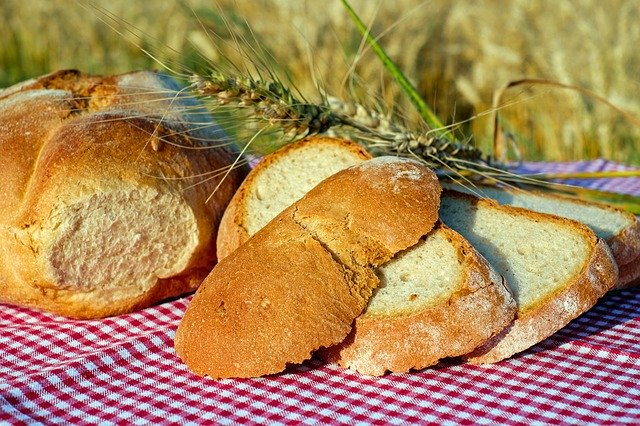 Procesos y balance de formulas en la elaboración del pan