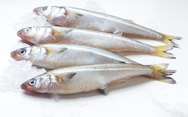 Pejerrey con Espinacas a la Crema de Anchoas