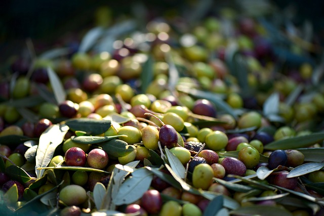 Aceitunas Californianas