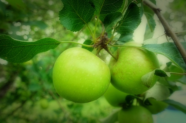 Mermelada de Manzanas Diet (Para preparar en microondas)