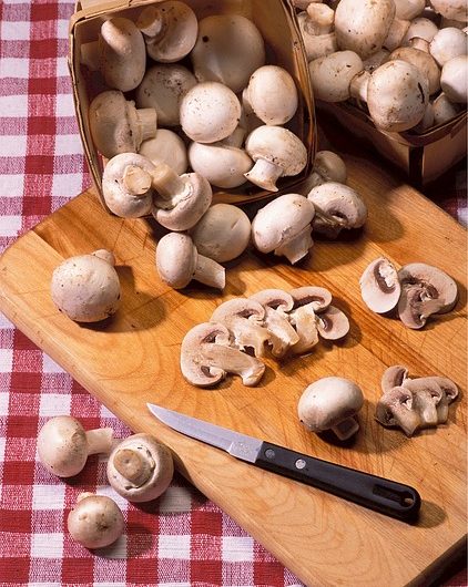 Tostadas con Crema de Hongos