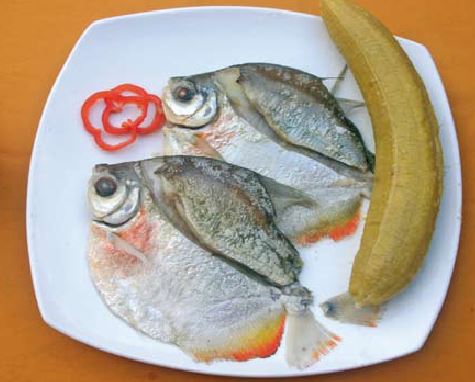 Pango de Palometa Fresco Salado
