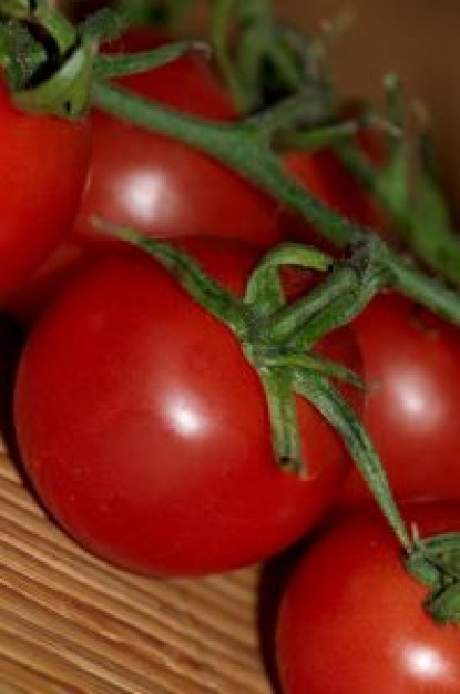 Salsa De Tomates Cocida