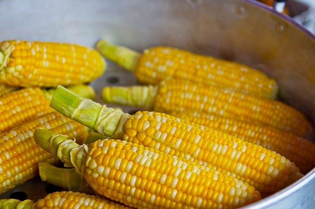 Cuadrados de Polenta