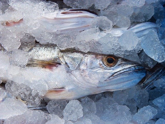 Merluza a la marinera