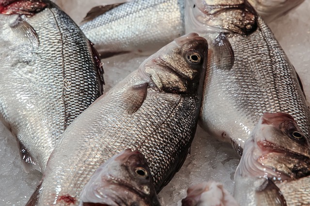 Caldo de pescado