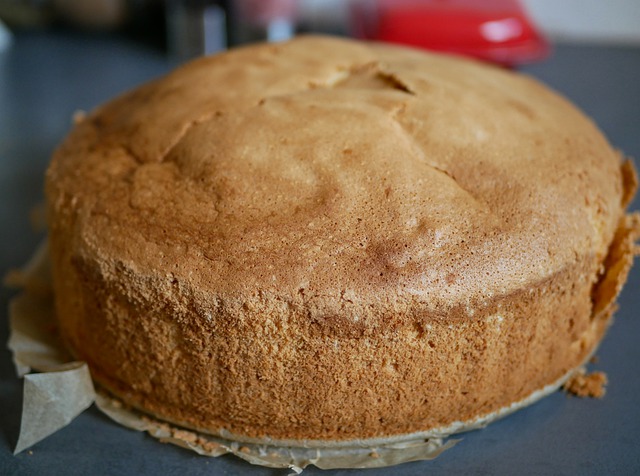 Torta base para pastel con 50% de sorgo