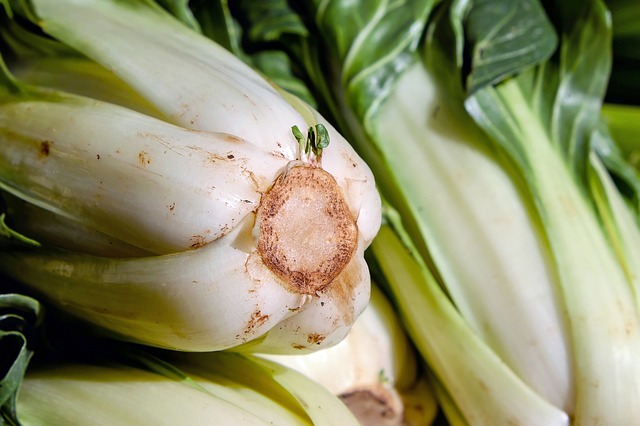 Pencas de Acelga en Escabeche