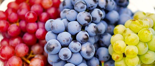 Tarta de Queso y Uvas