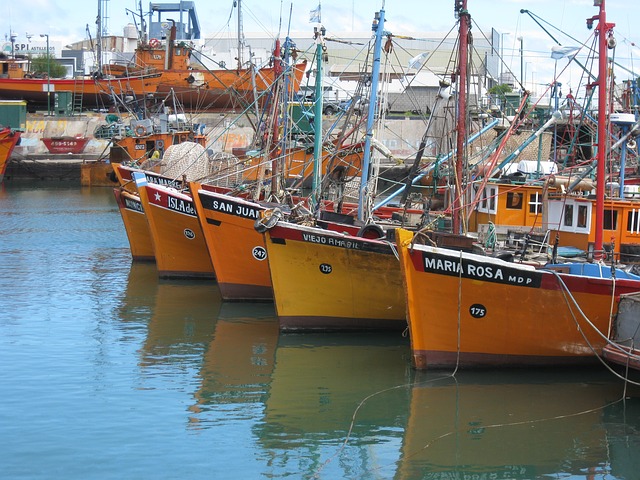 Cazuelitas Mar del Plata