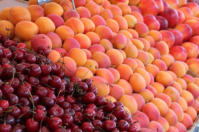 Budín Frutal