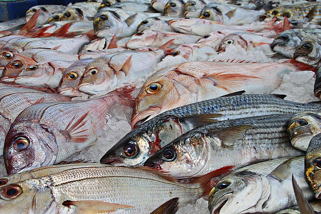 Pescadilla al Horno