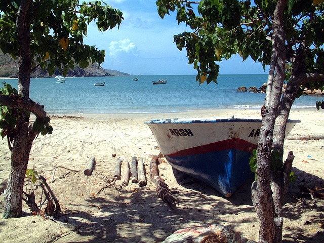 Crema de Mariscos